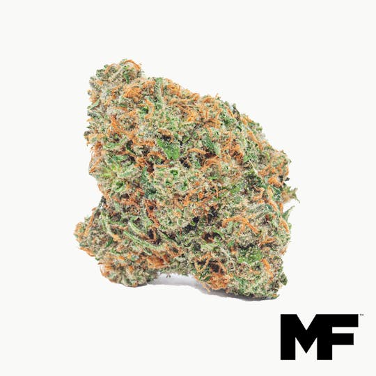 Modern Flower - Cherry Pie - Whole Flower 3.5G - 1