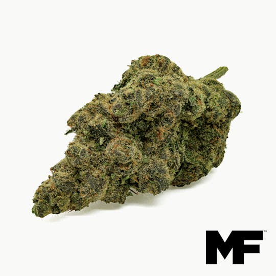 Modern Flower - Funk MTN - Whole Flower 3.5G - 1