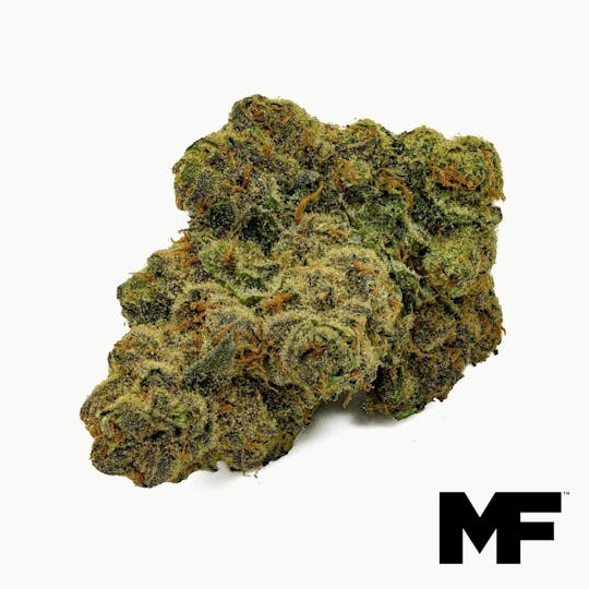 Modern Flower - MTN Trop - Whole Flower 3.5G - 1