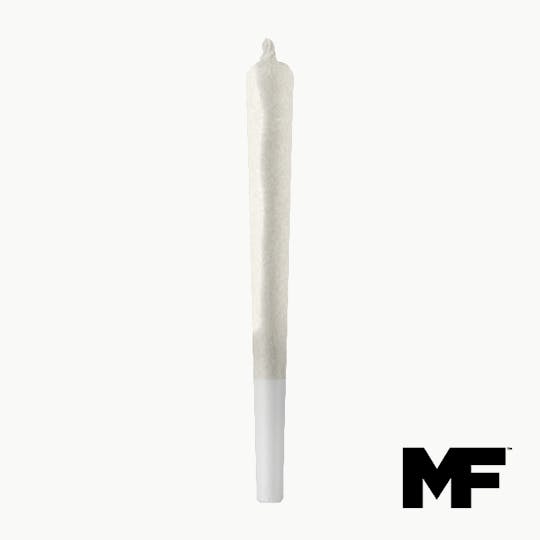 Modern Flower - Bomb Pop - Single PreRoll 1G - 1