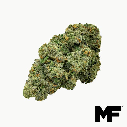 Modern Flower - Grape Gasoline - Whole Flower 3.5G - 1