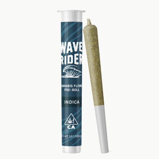 Wave Rider Nursery - WAVE RIDER-PREROLL-MIXED LIGHT-DOSIDOS-1G - 1