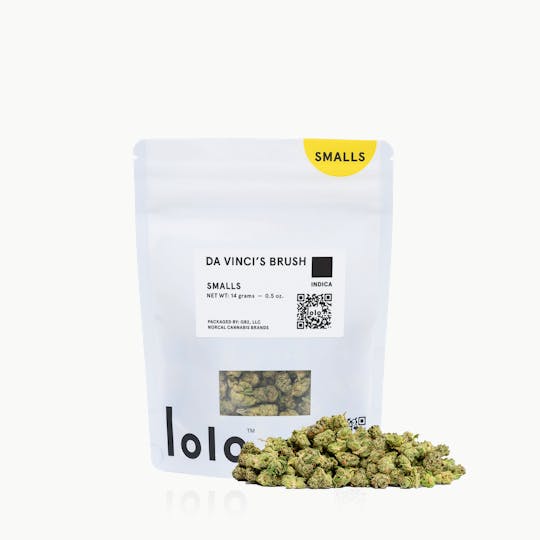 lolo - Da Vinci's Brush | Indoor Smalls | 14g - 1