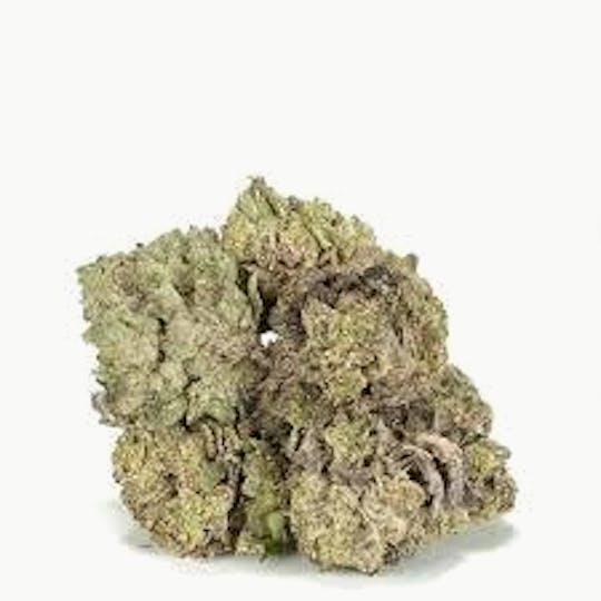 Cannafeen - PURPLE OCTANE - 1