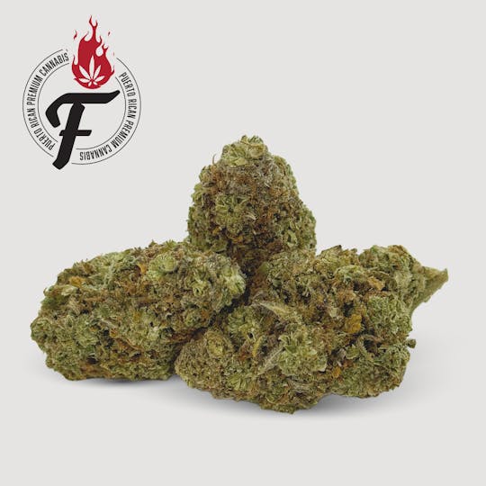 Fuego by Nature - Chemdawg - Fuego - 1