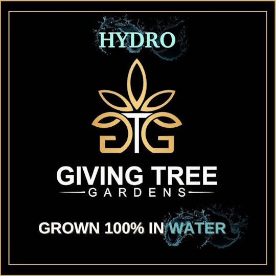 Giving Tree Gardens - Powdered Doughnut - 28g Flower - 1