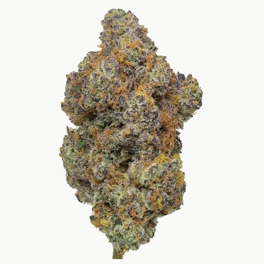 Giving Tree Gardens - Cake Crasher - 28g Flower - 1
