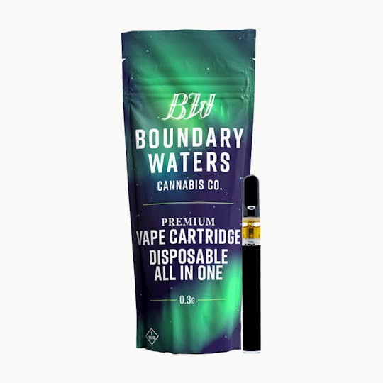 Boundary Waters - Rainbow Sherbert - Disposable - 1