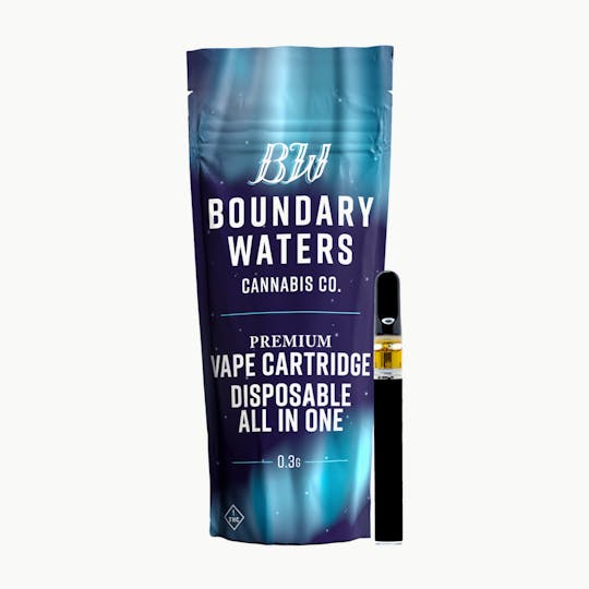 Boundary Waters - Mint Chip Ice Cream - Disposable - 1
