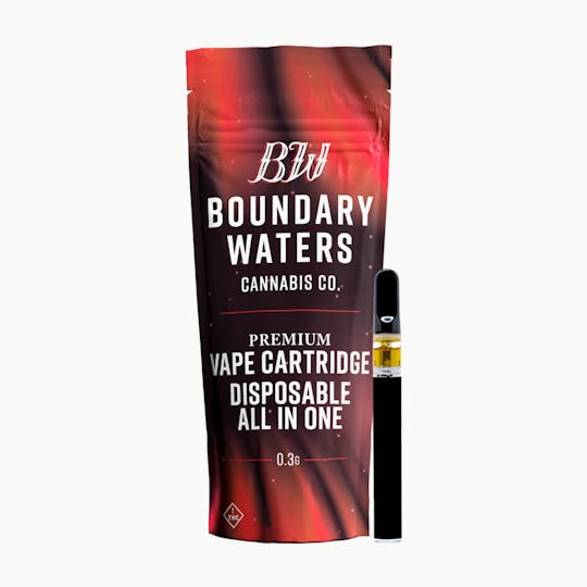 Boundary Waters - Electric Pink Lemonade - Disposable - 1