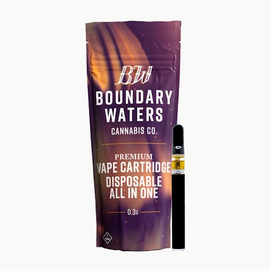Boundary Waters - Peach Rings - Disposable - 1