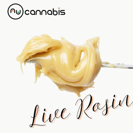 Nu Cannabis Brand - Nu Apple Strudel Full Spec Live Rosin - 1