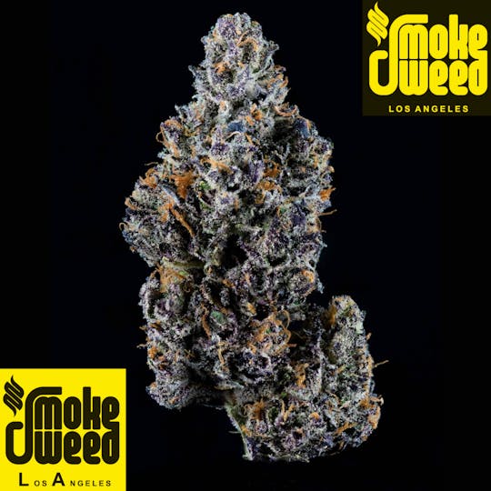 Smoke Weed LA - SWLA - Sherb Cream Pie 1g - 1