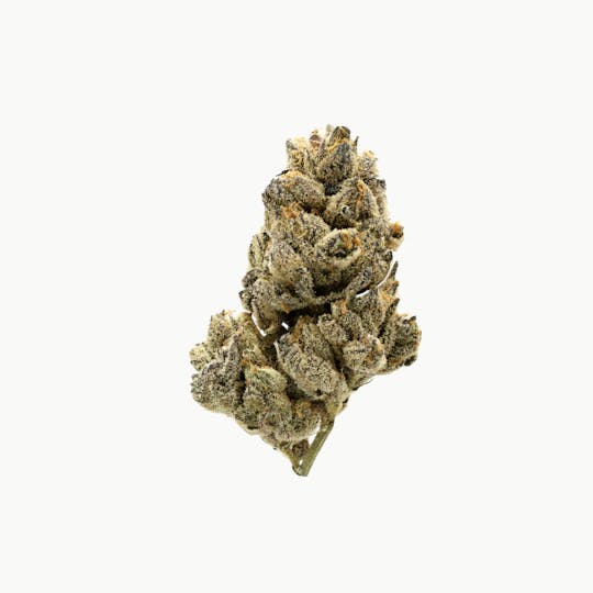 Naked Mummer - Nebula Runtz 7G - 1
