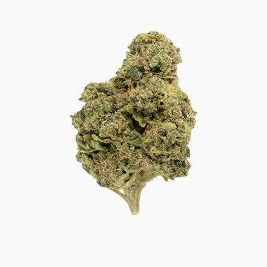 Snicklefritz - Nepali Kush - Dried Flower 7g - 1