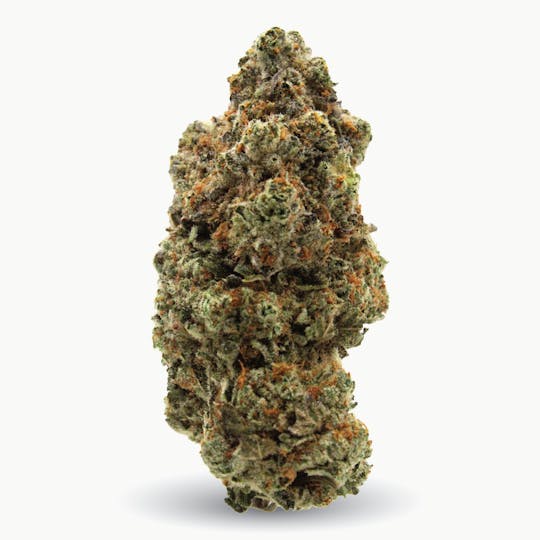 Gas Station Cultivation - Gelatti Flower - 1