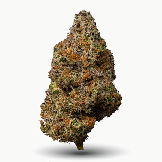 Gas Station Cultivation - Cherry Sunset Flower - 1