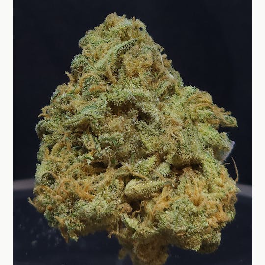 BAM Alaska - Pineapple Express 14g Flower - 1