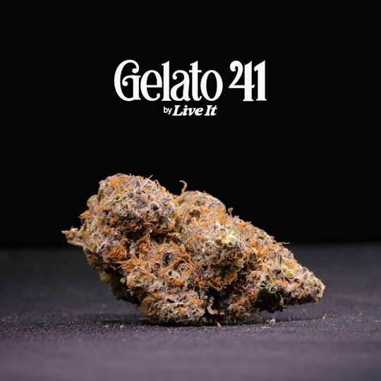 Live It - LIVE IT BUDS | GELATO 41 - 1