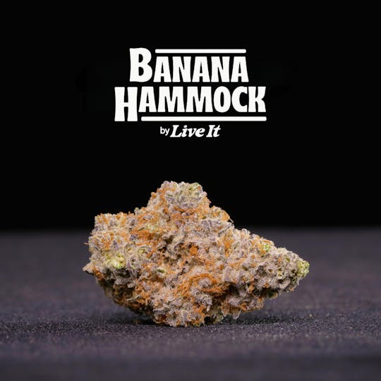 Live It - LIVE IT BUDS | BANANA HAMMOCK - 1