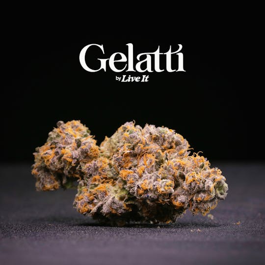 Live It - LIVE IT BUDS | GELATTI - 1
