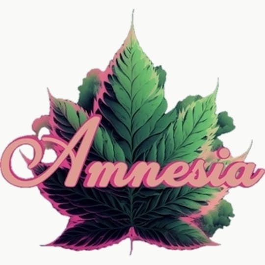 Amnesia MI - Bubble Gum - Vape Carts 5 Pack - 1