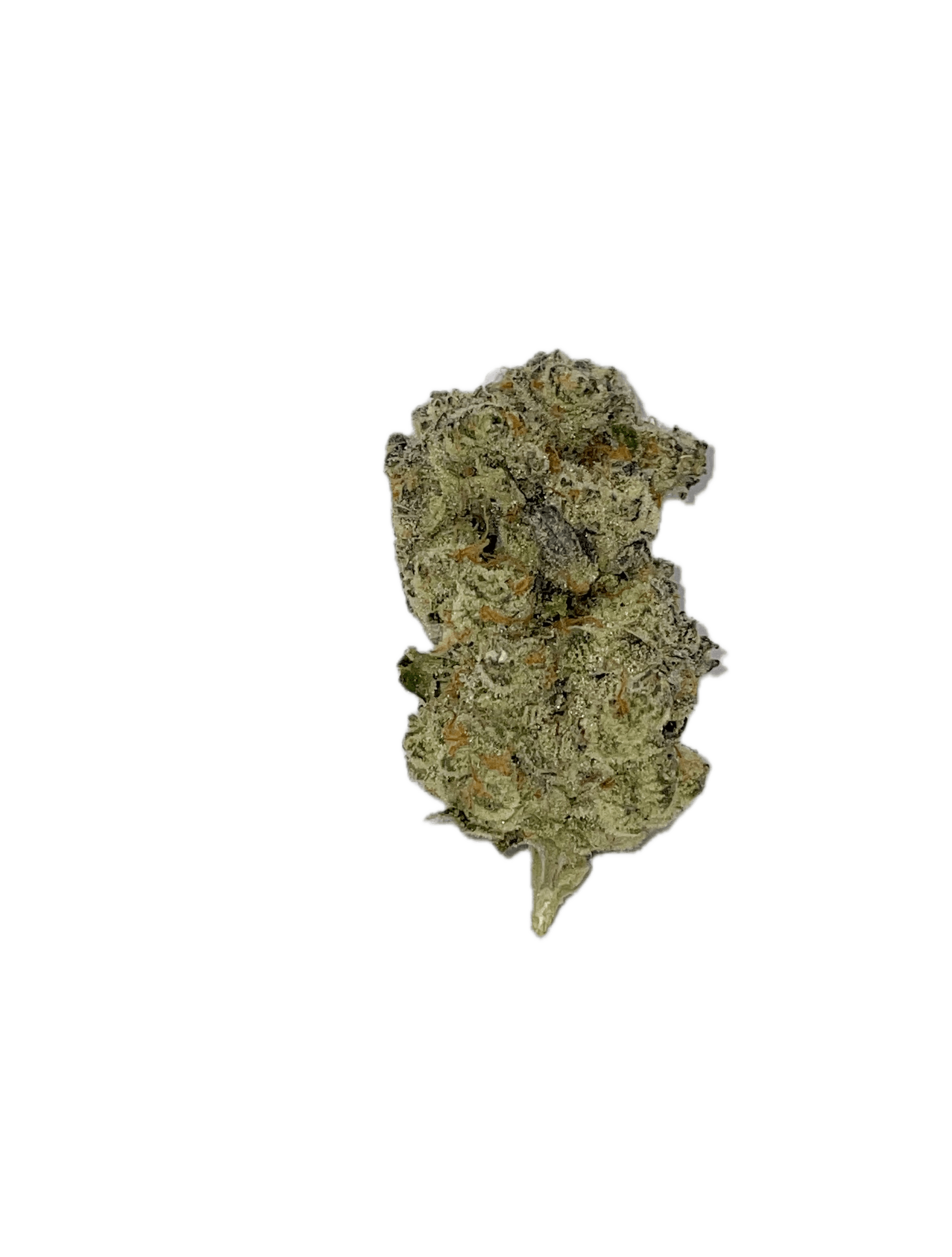 Dynastree - Vortex | 20% I 80% S - 1