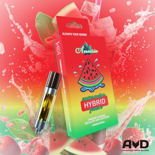 Amnesia MI - Watermelon Freeze - Cart 1g - 1