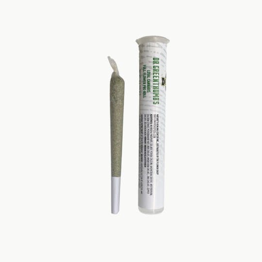 Dr. Greenthumb's - FRUIT LEATHER PREROLL 1G - 1