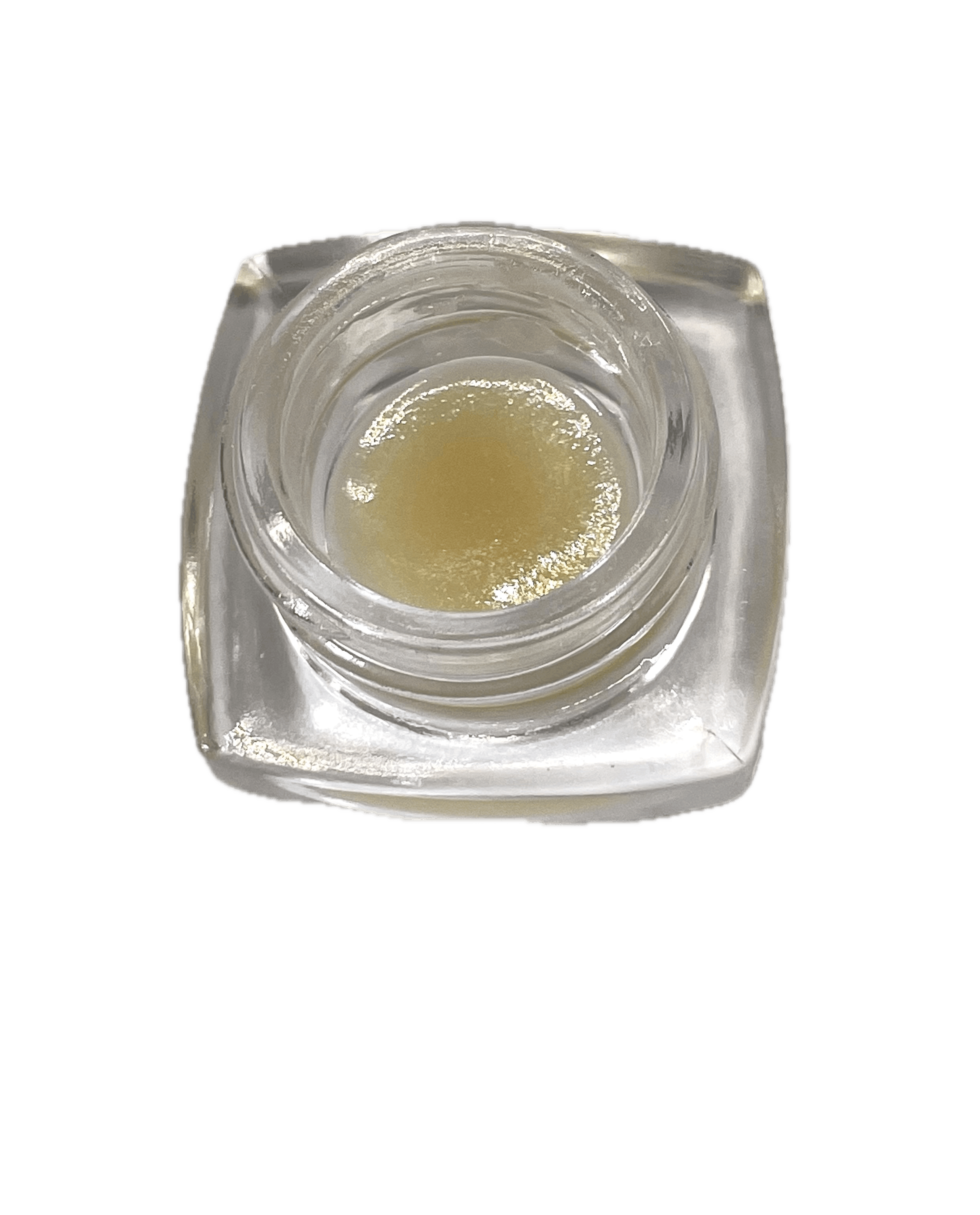 Dynastree - Live Peach Crescendo - 1