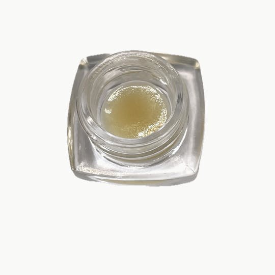 Dynastree - Live Peach Crescendo - 1