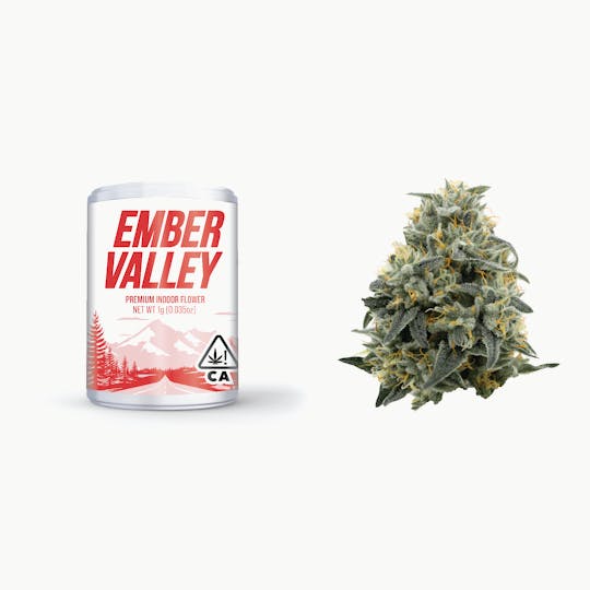 Ember Valley - Purple Lightsaber 1G Pop Tube - 1