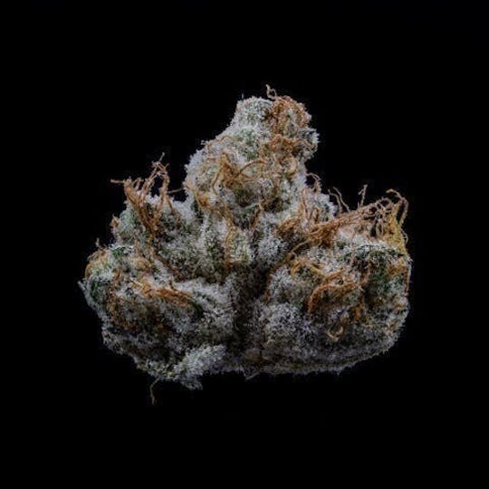 East Coast Cannabis - Ice Cream Mints - 1