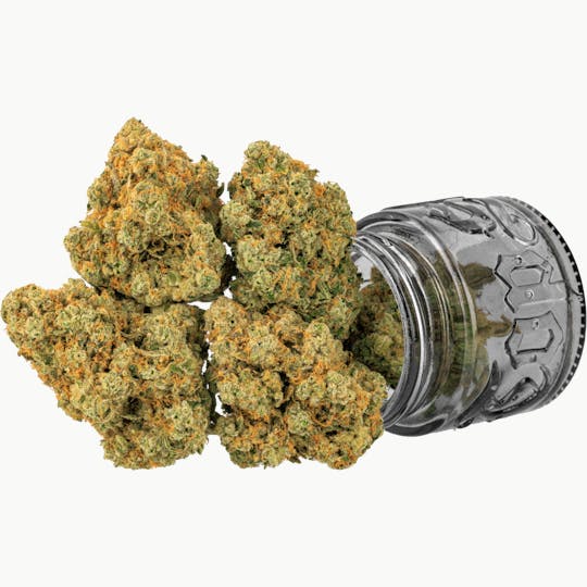 Top Shelf Cultivation - Sour Headband | 3.5g - 1