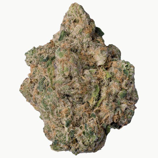 Modern Flower - Modern Flower x Seed Junky | Lemon Cherry x Cap Junky - 1