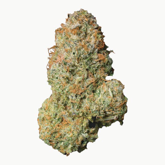 Modern Flower - Modern Flower x Seed Junky | Malibu - 1