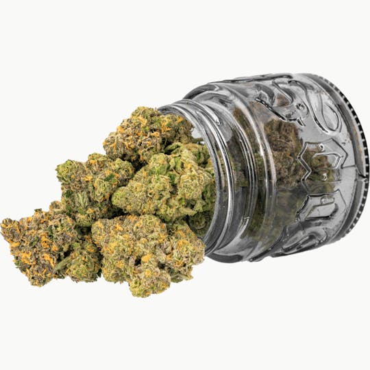 Top Shelf Cultivation - Cherry Limeade | 3.5g - 1