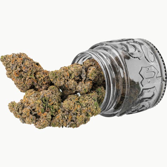 Top Shelf Cultivation - Purple Sherbert | 3.5g - 1