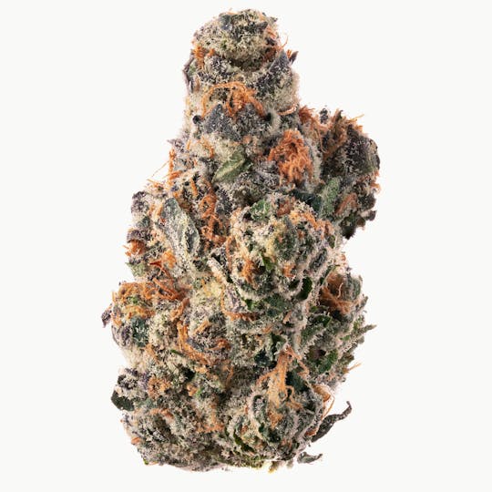 Three Trees - Blue Sunset Blk Lbl Flower - 1
