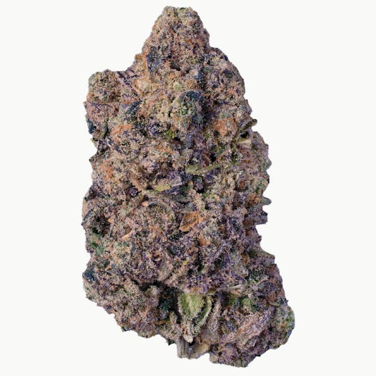 Modern Flower - Modern Flower x Seed Junky | PPP - 1