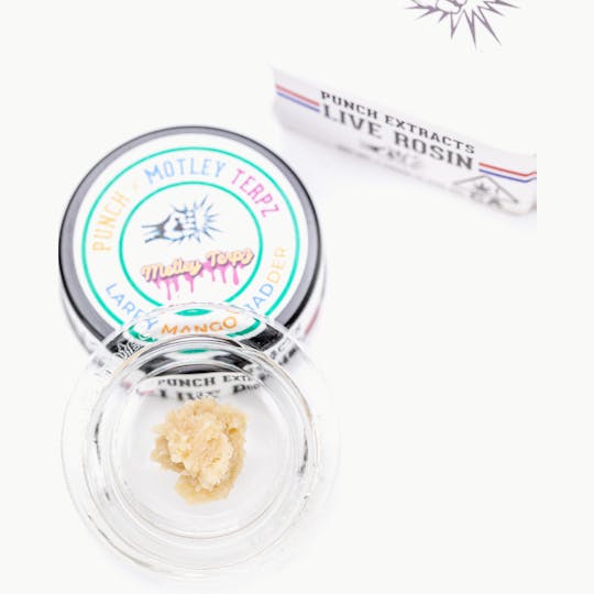 Punch Edibles & Extracts - Larry Mango Tier 4 Live Rosin Cold Cure Badder (1g) - 1