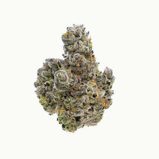 Canamo AK - Flower - Cactus Cooler (H) - 1