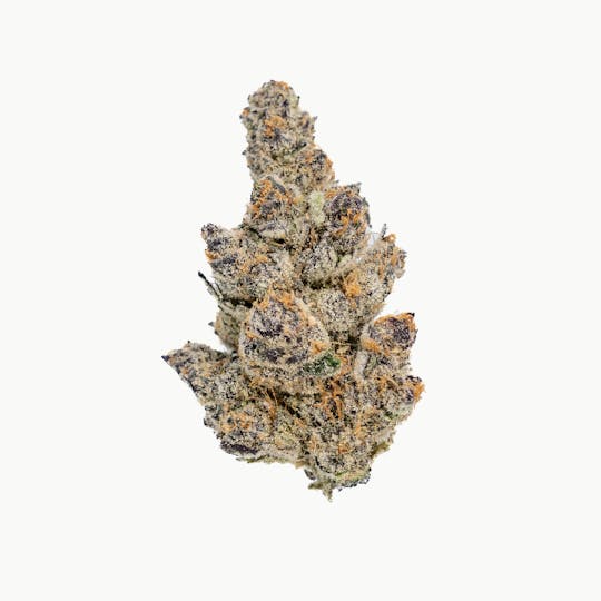 Canamo AK - Flower - Cherry Potter (H) - 1