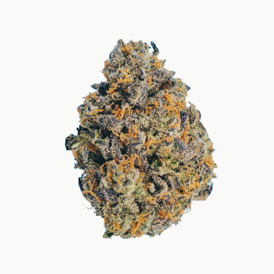 Canamo AK - Flower - Island Dream (H) - 1
