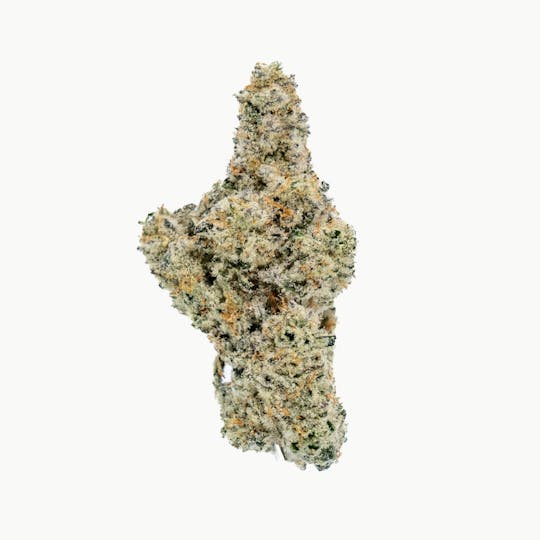 Canamo AK - Flower - Star Fox - 1