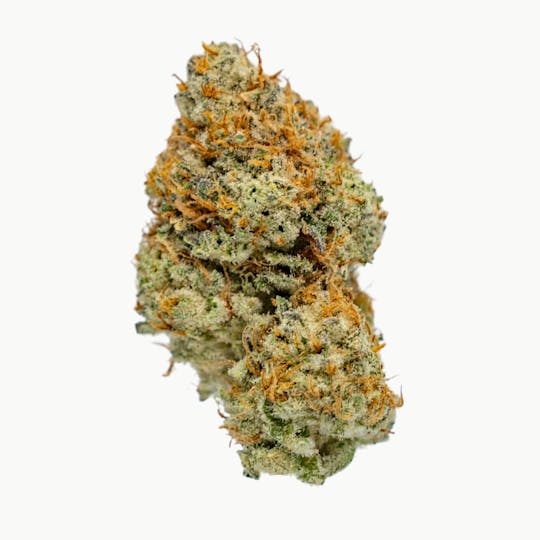 Canamo AK - Flower - Yeti 49 - 1