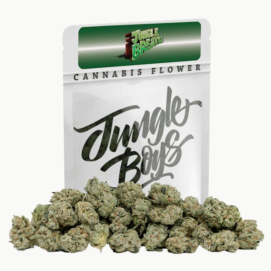 Jungle Boys - Jungle Boys | Jungle Breath - 10g Flower - 1