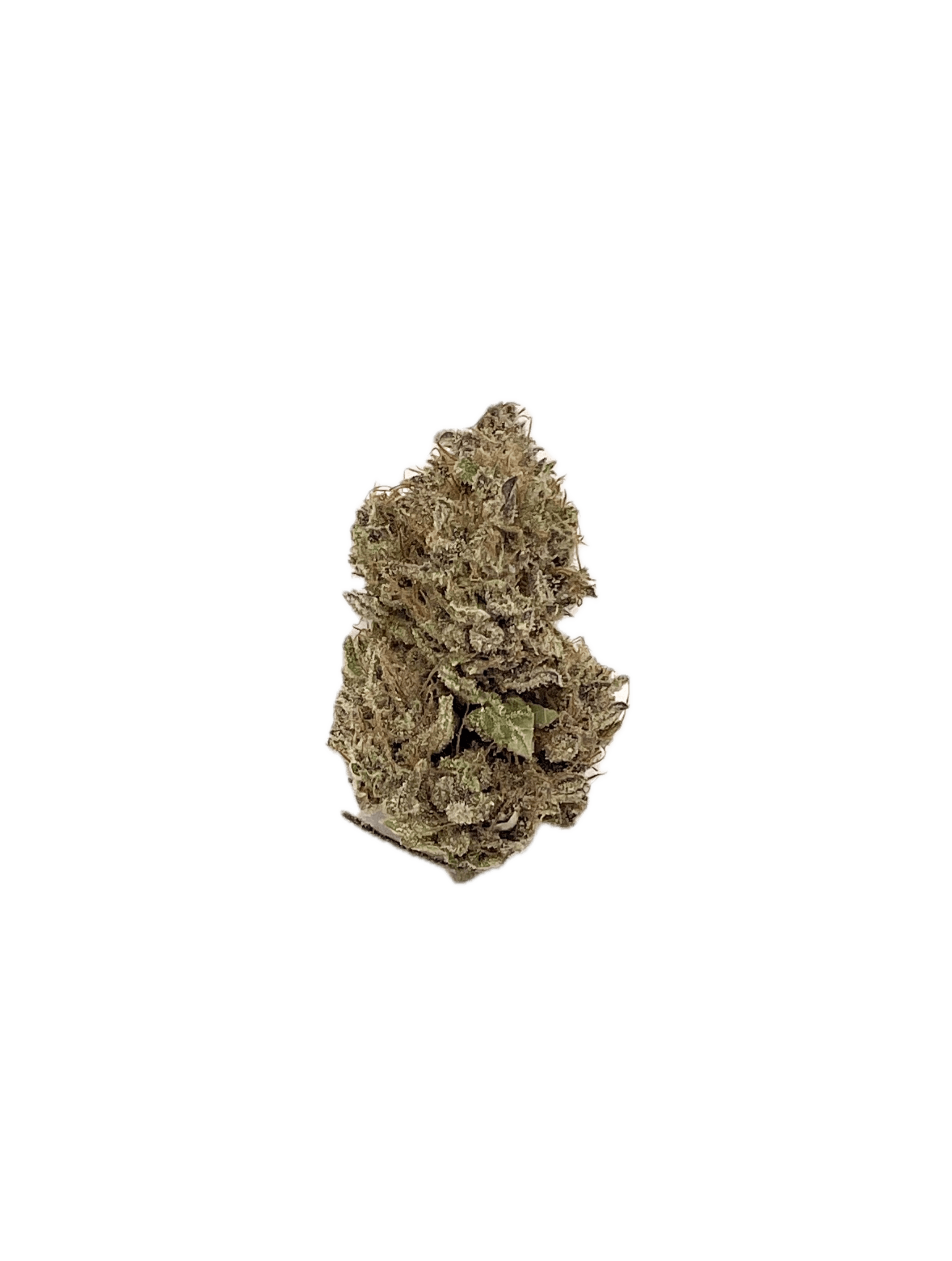 Dynastree - Purple Cadillac I 50% I 50% S - 1