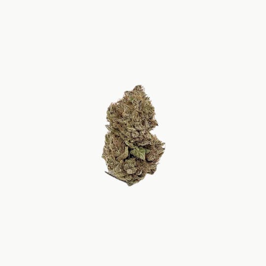 Dynastree - Purple Cadillac I 50% I 50% S - 1