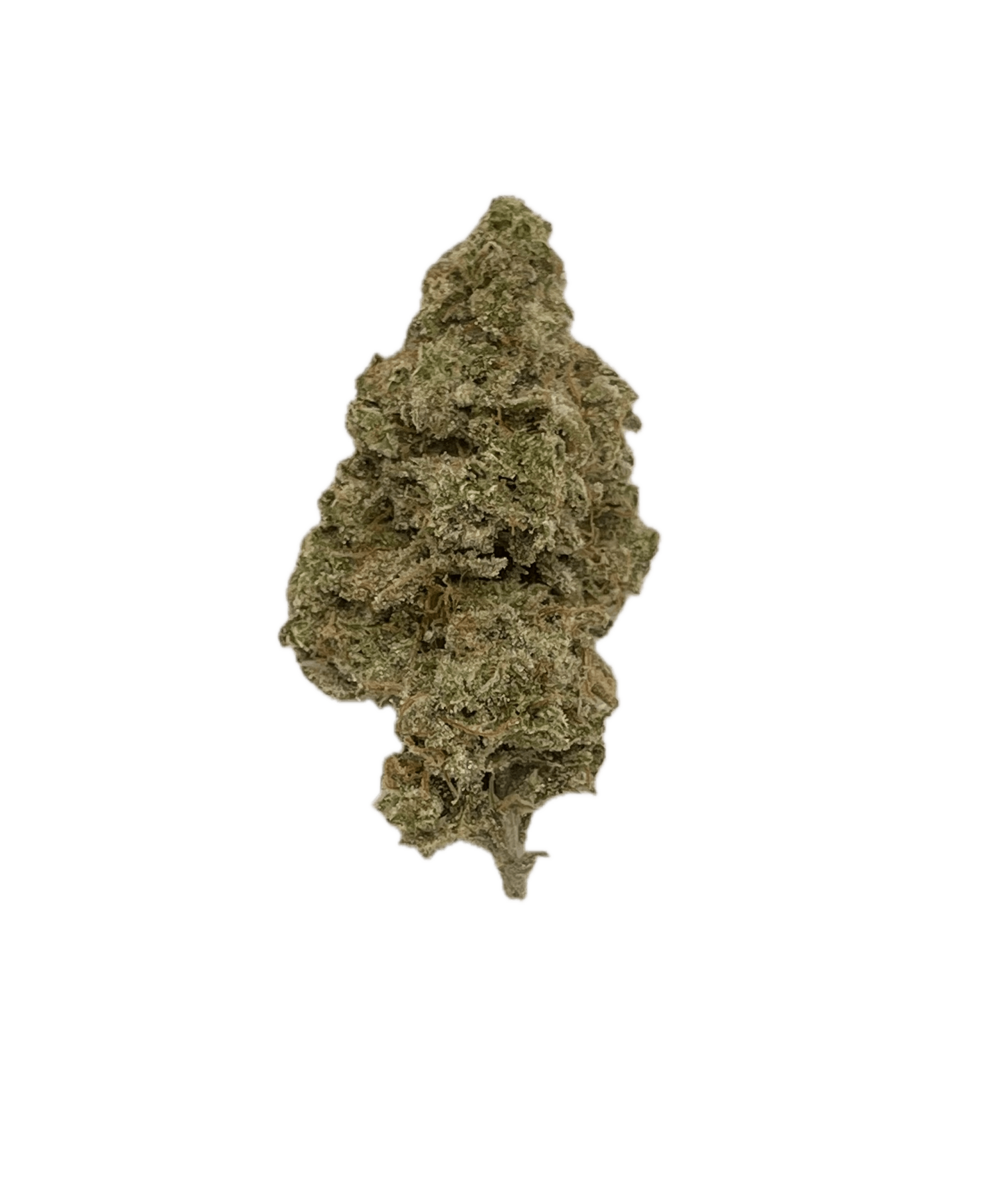 Dynastree - Gorilla Glue #4 - 60%I - 40%S - 1